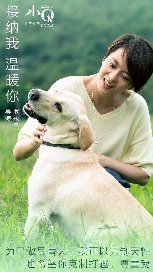 昆士兰大学 Sociological degree